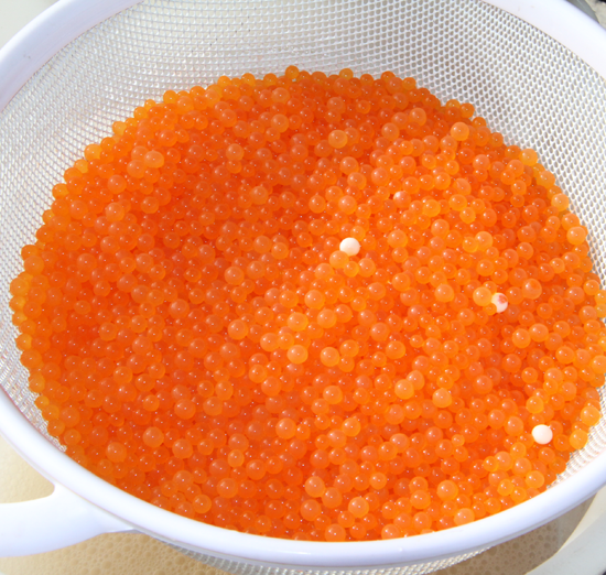 13 What is a Salmon Fish? Smrt English